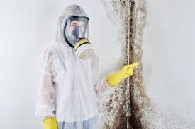 Asbestos and Lead Testing During Mold Inspection in Lincoln Center, KS